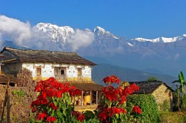 Dhampus Village - Annapurna view trek