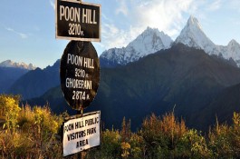 Ponhill -Annapurna Poonhill trek